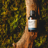 Morning Wood Beard Oil - The Groomed Man Co.